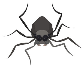 Gray Spider Celebrating with Happy Gesture, Vector Illustration