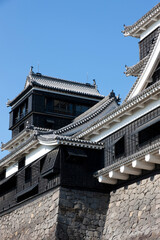 Fototapeta premium 熊本城