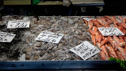 Close up of calamari and sepia on fish market in Venice (Venezia), Italy; squids, cuttlefish and...