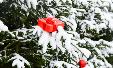 Christmas eve. Shopping. Kindness and generosity. Red gift box on snowy fir tree branch. Boxing day. Merry christmas. Get ready for xmas. Winter decorations. Christmas present wrapped red paper