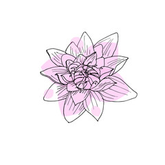 Fototapeta premium Hand drawn Lotus flower. Sketch a black outline on a pink background. Vector illustration isolated.