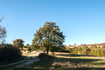 Countryside rural landscape with country road in late summer sunny day