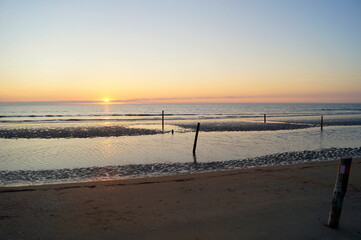 Nordsee Stillleben