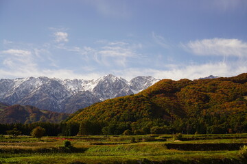 Autumn colorful foliage. mountains have 3 different colors made by nature, white, red, green. 