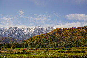 Autumn colorful foliage. mountains have 3 different colors made by nature, white, red, green. 