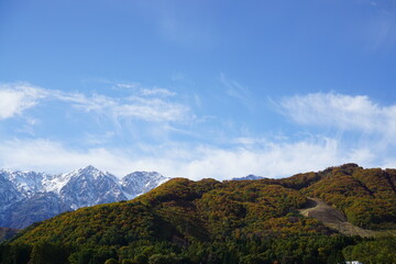 Autumn colorful foliage. mountains have 3 different colors made by nature, white, red, green. 