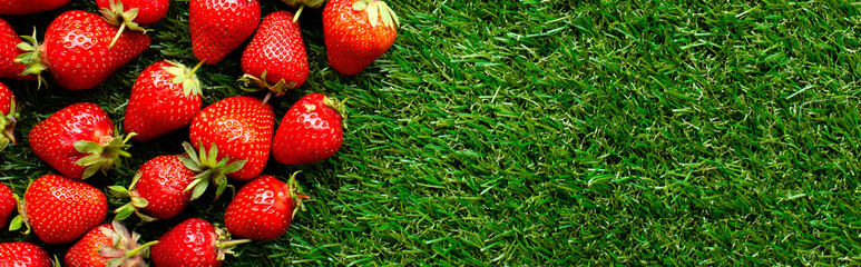 red fresh strawberries on green grass, close view