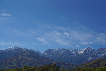 Naklejka premium Autumn colorful foliage. mountains have 3 different colors made by nature, white, red, green. 