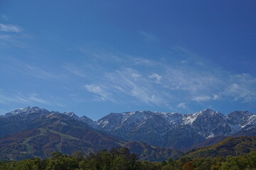 Fototapeta premium Autumn colorful foliage. mountains have 3 different colors made by nature, white, red, green. 