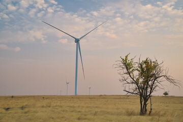 Fototapeta na wymiar windmills in the field in the autumn evening