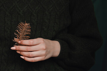 A branch of pine needles in a female hand on a green background. Withered needles.