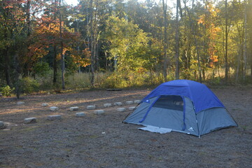 Camping backyard nature woods 