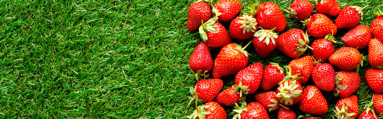 red fresh strawberries on green grass, close view