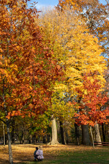 Rear view of woman wearing sunhat, crouching beside child looking at fall foliage on Mt. Royal in Montreal
