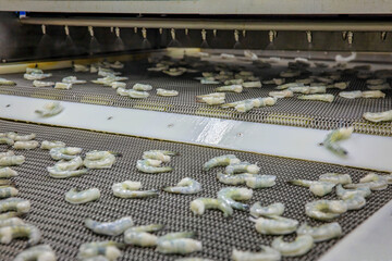 Processing frozen shrimp in a factory in Vietnam