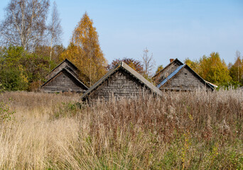 Old, ramshackle village houses among dry, autumn grass. Gold autumn.