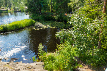 beautiful landscape with waterfall, river, green trees and plants, rocks, mountain in summer in Karelia, Russia