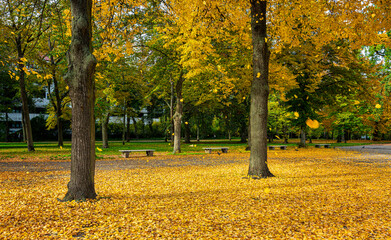 Herbst im Park