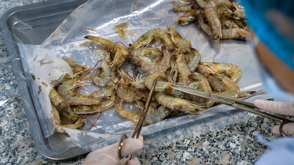 Sampling shrimp to check quality in a food factory in Vietnam
