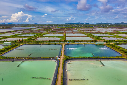 Aerial view of the High technology white shrimp ( prawn ) farm with aerator pump in front of Kien Luong, Kien Giang, Vietnam.