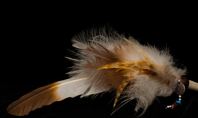 Obraz premium Feather on Black