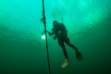 Diver in the St-Lawrence river