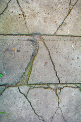Obraz premium Cracked concrete brick pathway texture. Broken sidewalk tiles