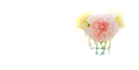 Fresh Spring Flowers Carnations Cup Old Wooden Table Decoration