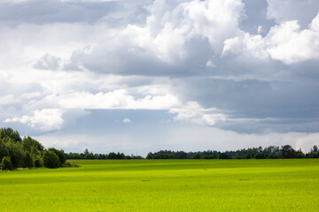 Summer landscape with green field and clouds in the sky