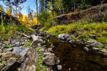 Fototapeta na wymiar A beautiful fall landscape image with turning trees.
