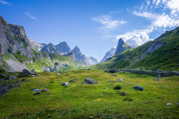 Mountain and pastures landscape in French alps