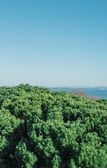 Fototapeta na wymiar Vistas de Lisboa desde el mirador del barrio de Alfama