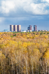 Fototapeta na wymiar yellow forest and residential district on horizon abd graty rain clouds in sky on sunny autumn day