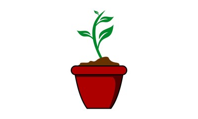 growing plant leaf in the pot vector