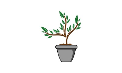 seed plant leaf in the pot vector