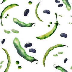 water color hand painted vegetable. beans on white background