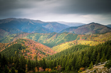 The colors of autumn.  Beautiful orange and yellow leaves into a sunny day into a mountain forest.