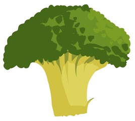 Simple minimal cartoon style green broccoli cooking vegetable icon illustration vector design element isolated on a white background