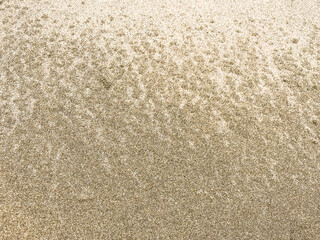 Fototapeta na wymiar Sandy beach texture background brown