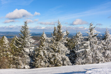 Forest winter landscape of Beski Sadecki in Poland