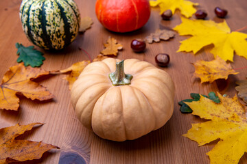 Naklejka na ściany i meble Halloween pumpkin, autumn decoration on wooden background
