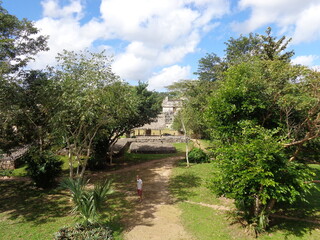 The mangroves and flamingo herds of Celestun in the Gulf of Mexico, Yucatan