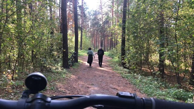 An elderly couple walks through the autumn forest. View from a Bicycle.