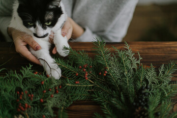 Cute cat helping young woman making rustic christmas wreath with little paws. Sweet holiday moments