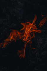 fire in the fireplace