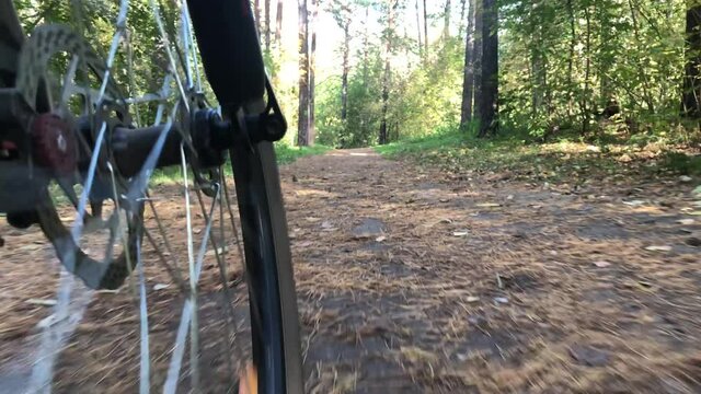 Ride through the autumn forest on a Bicycle. Angle from the wheel.