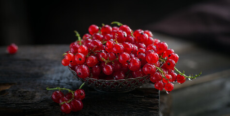 Fresh red currant with water drops in metal bowl. Healthy food on dark table mock up. Delicious, sweet, juicy and ripe berry background with copy space for text.