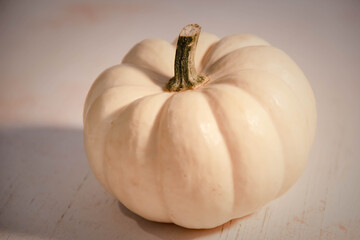 White pumpkin lies on a white wooden surface