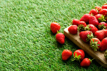 wooden cutting board with red fresh strawberries on green grass, close view