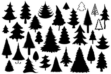 Obraz premium Fur- tree silhouettes on white background